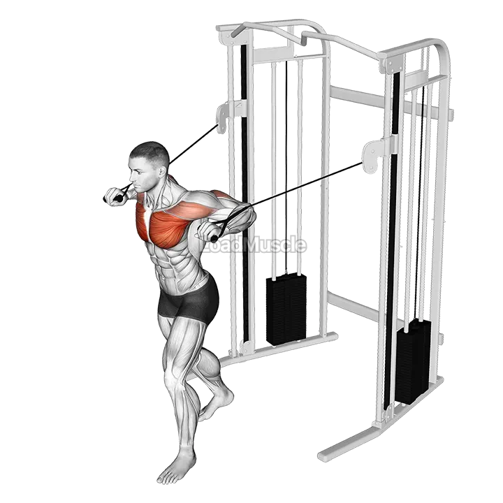 Cable Standing Chest Press demonstration