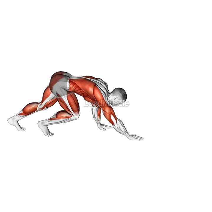 Bear Crawl demonstration