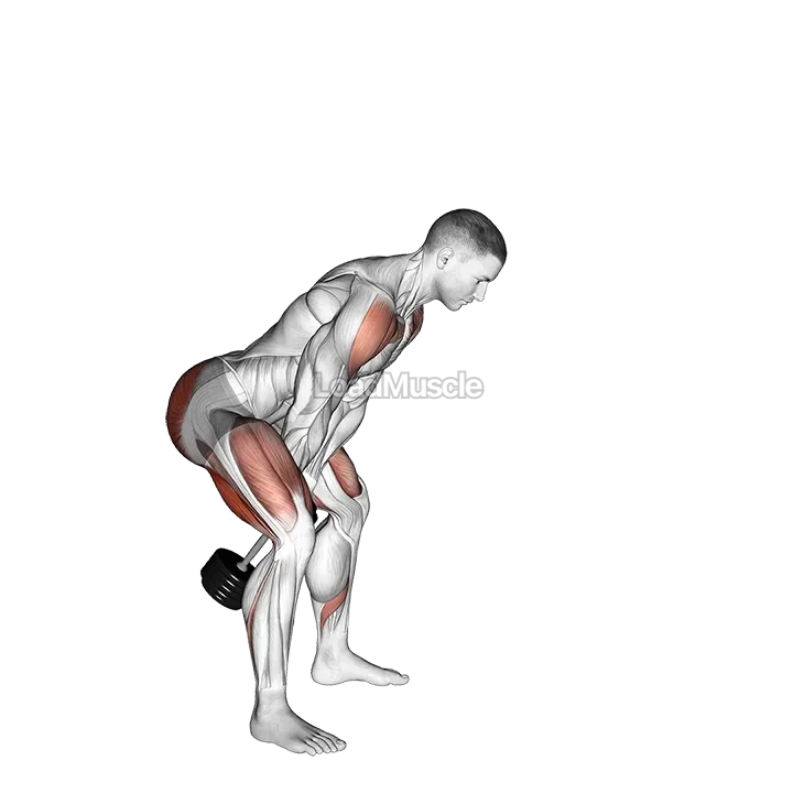 Dumbbell Swing demonstration