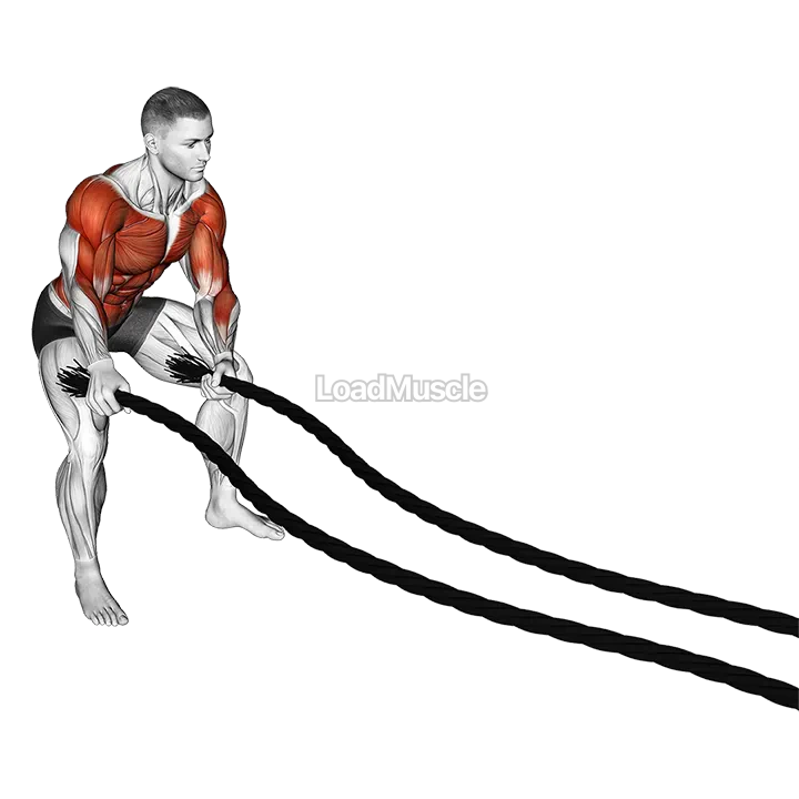 Battling Ropes Side to Side Arms demonstration