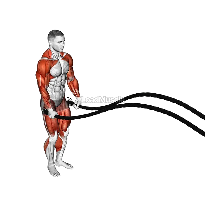 Battling Ropes Jumping Jack demonstration