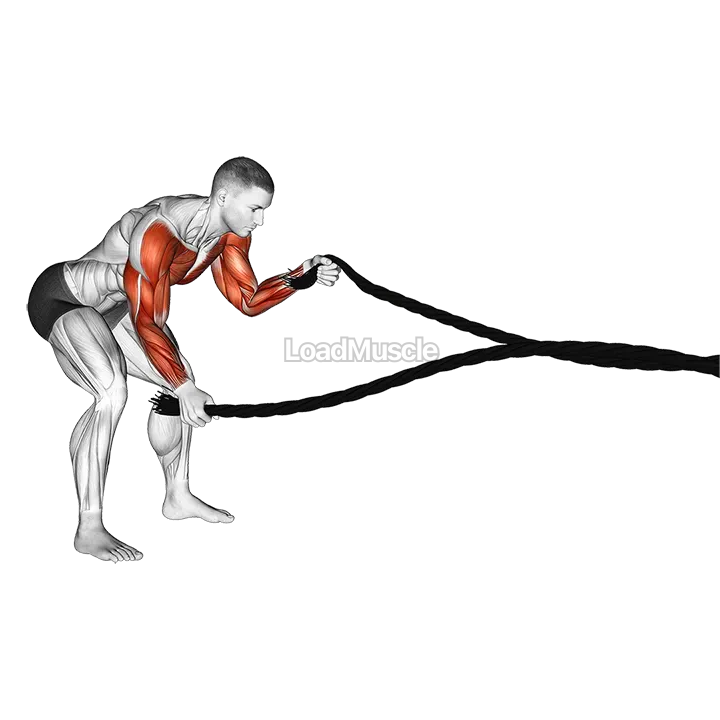 Battling Ropes Low Waves demonstration