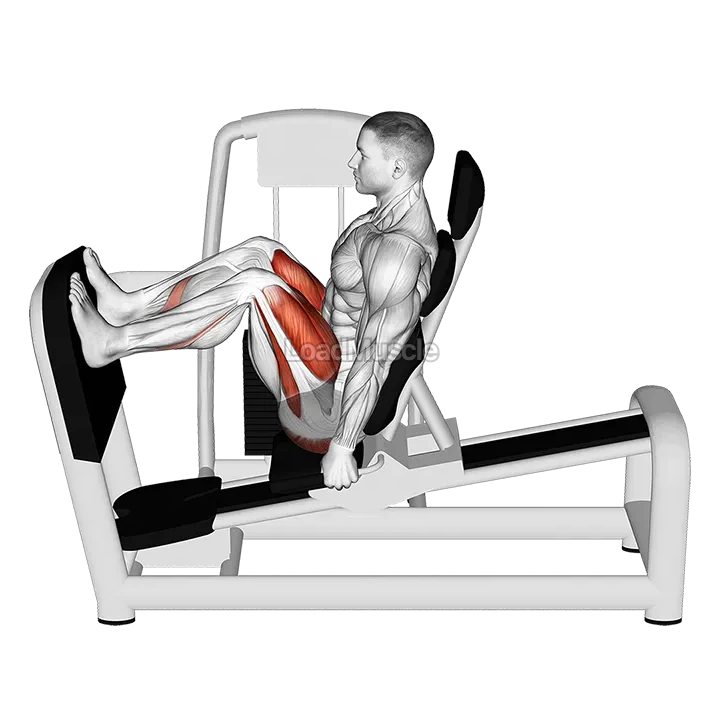 Lever Seated Leg Press demonstration
