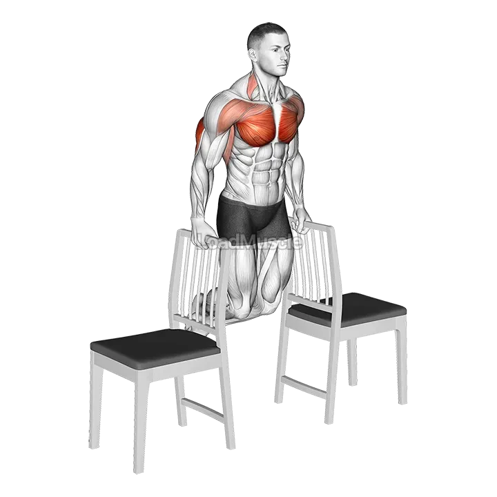 Dips between Chairs demonstration