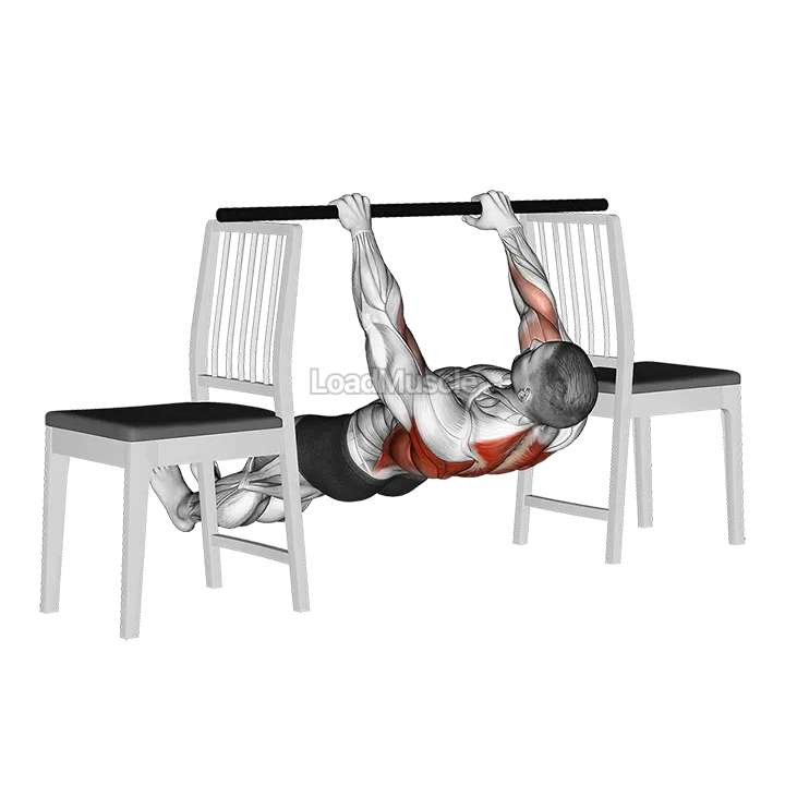 Inverted Row between Chairs demonstration