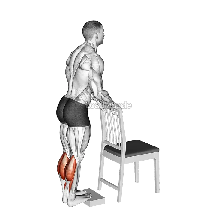 Calf Raise from Deficit with Chair Supported demonstration