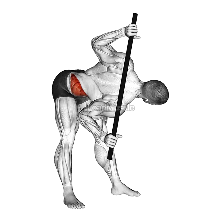 Bent Over Twist demonstration