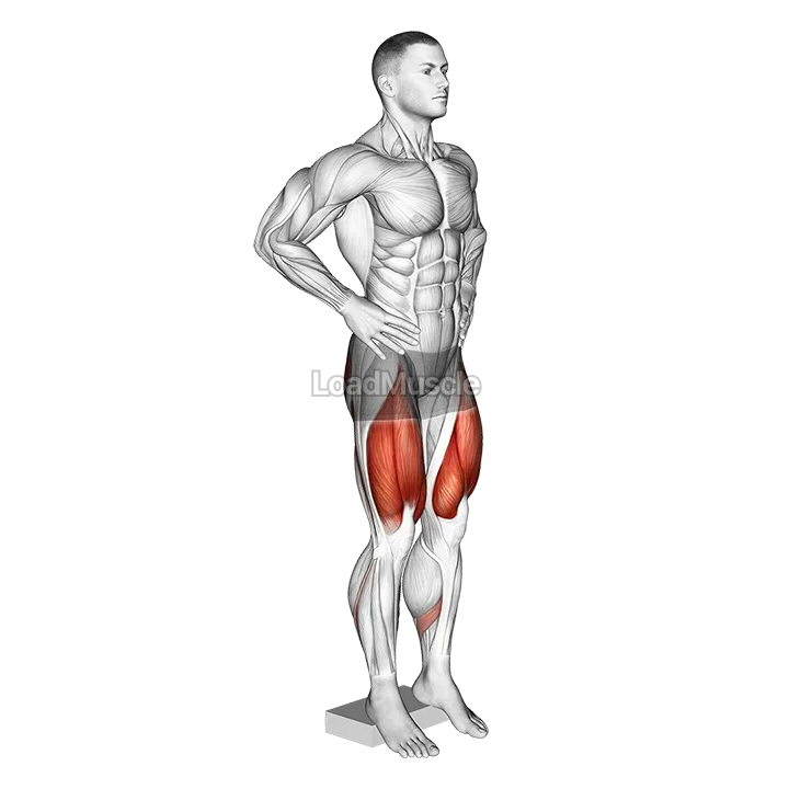 Narrow Squat from Deficit demonstration