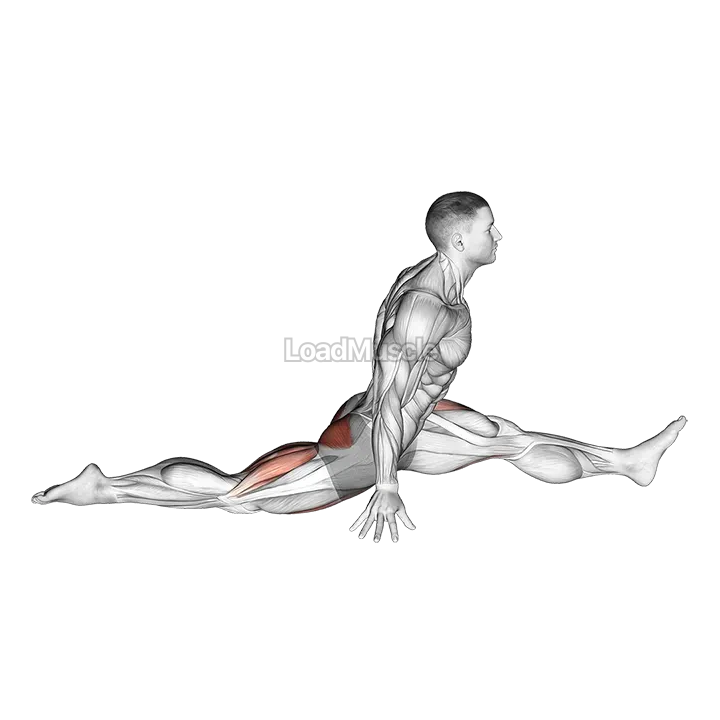 Flexion And Extension Hip Stretch demonstration