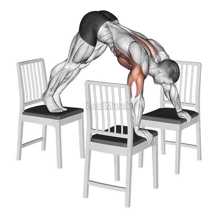 Pike Push up (between Chairs) demonstration