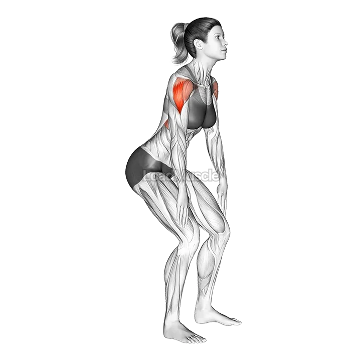 Standing T raise demonstration