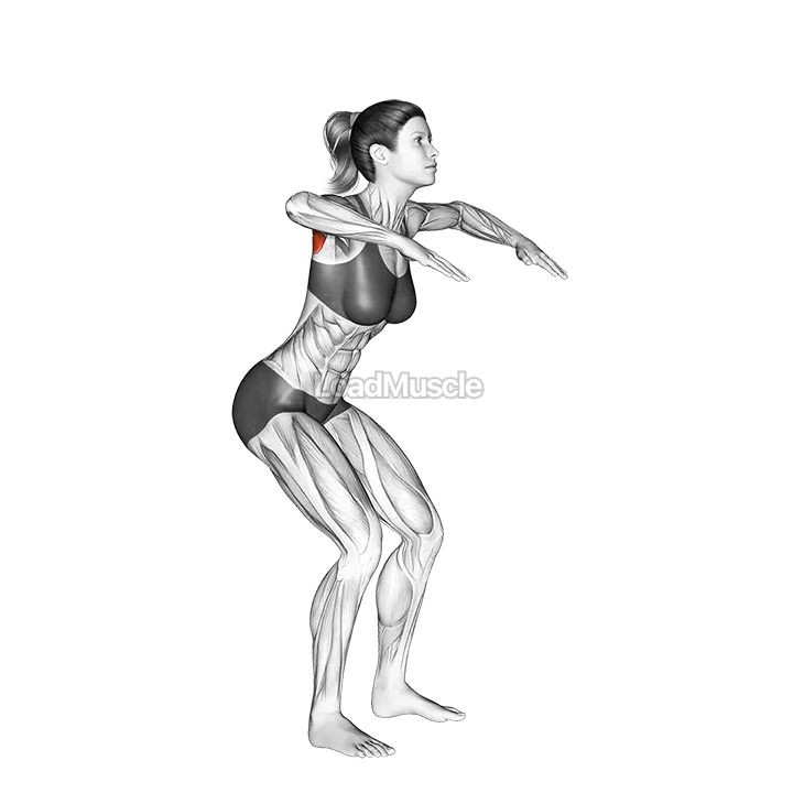 Standing W raise demonstration