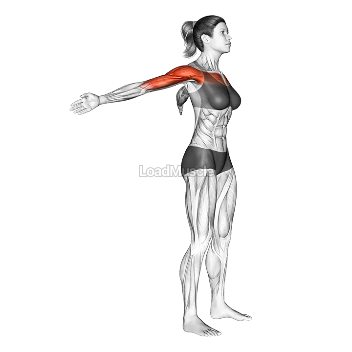 Standing Phelps demonstration