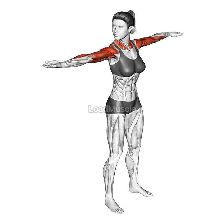 Standing Wring the Towel demonstration