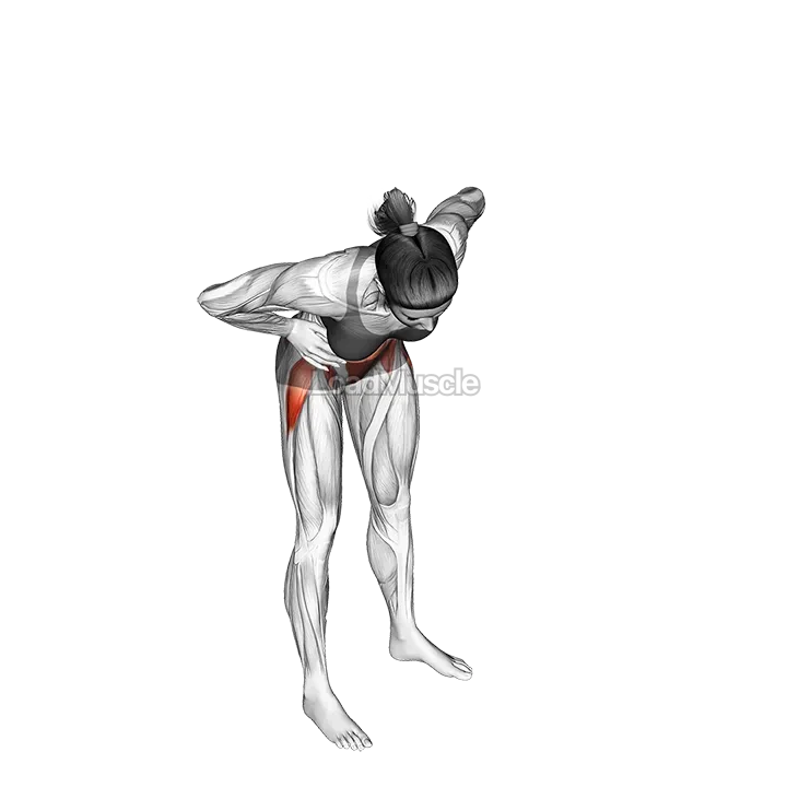 Standing Hip Circle demonstration