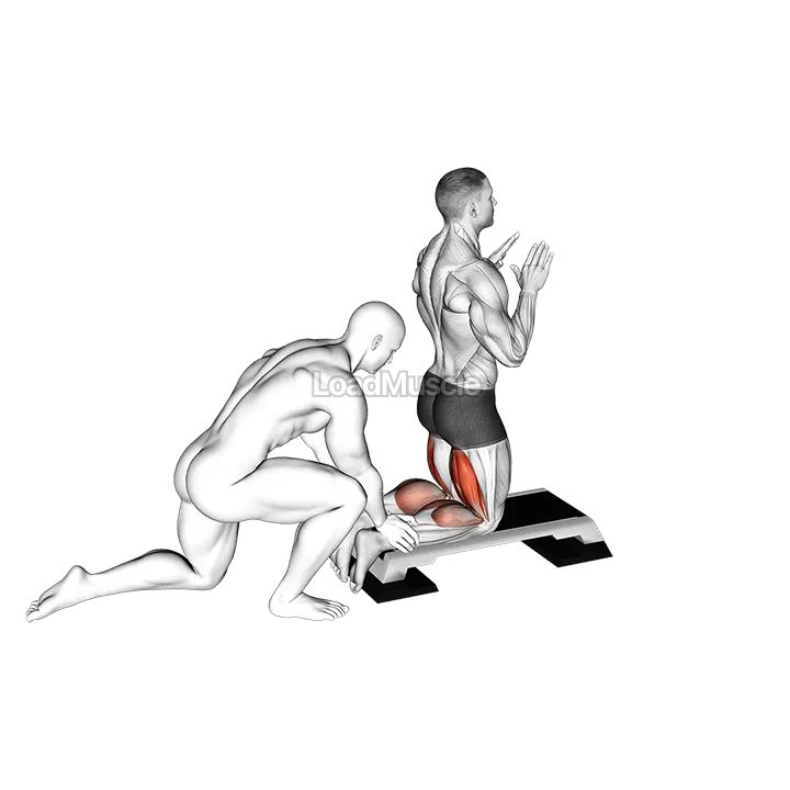 Assisted Inverse Leg Curl demonstration