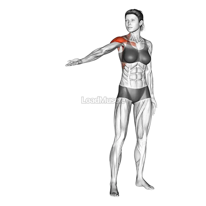 Standing Shoulder Circling demonstration