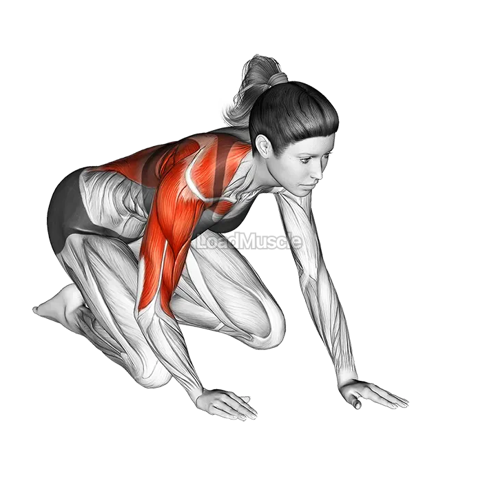 Kneeling One Arm Arm Reach Roll Lift demonstration