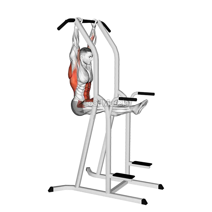 L-Pull-Up demonstration
