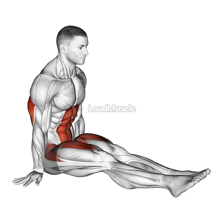 L-Sit on Floor demonstration