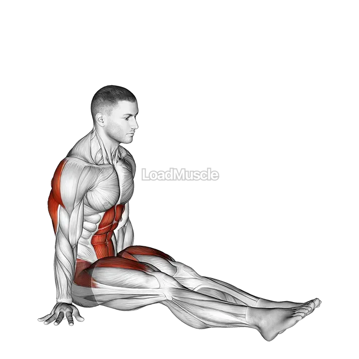 V-Sit on Floor demonstration