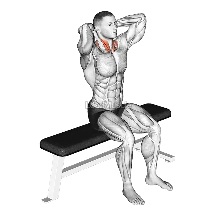 Seated Flexion And Extension Neck demonstration