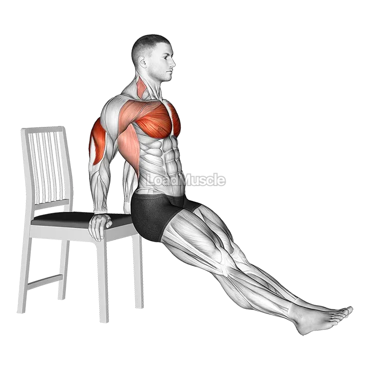 Dip on Floor with Chair demonstration