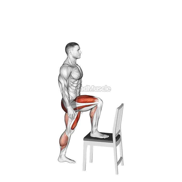 Step up on Chair demonstration