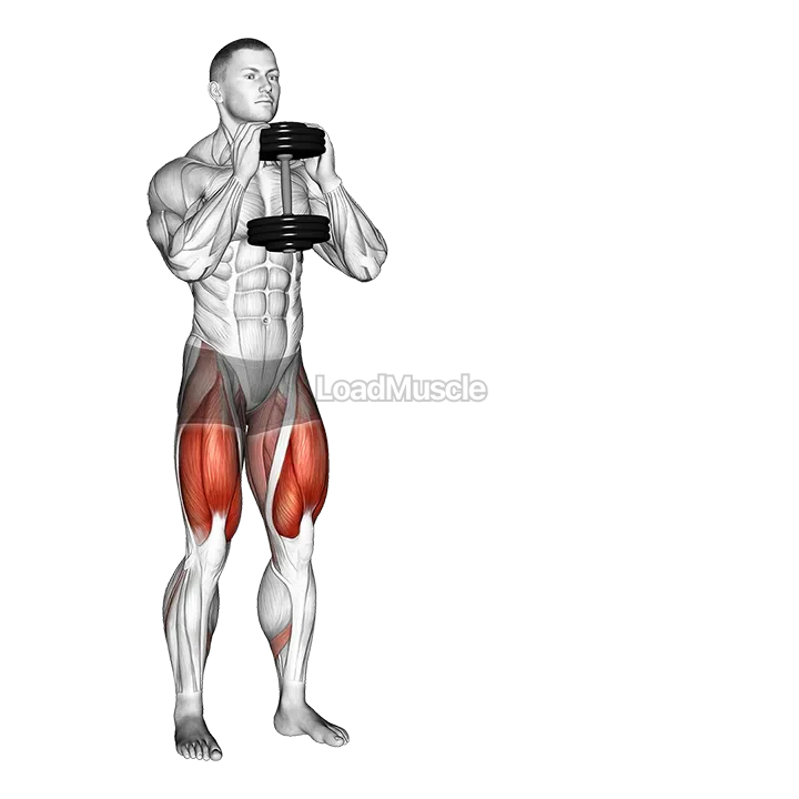 Dumbbell Side Lunge demonstration