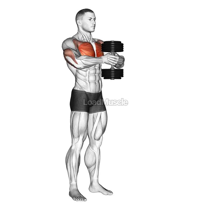 Dumbbell Svend Press demonstration