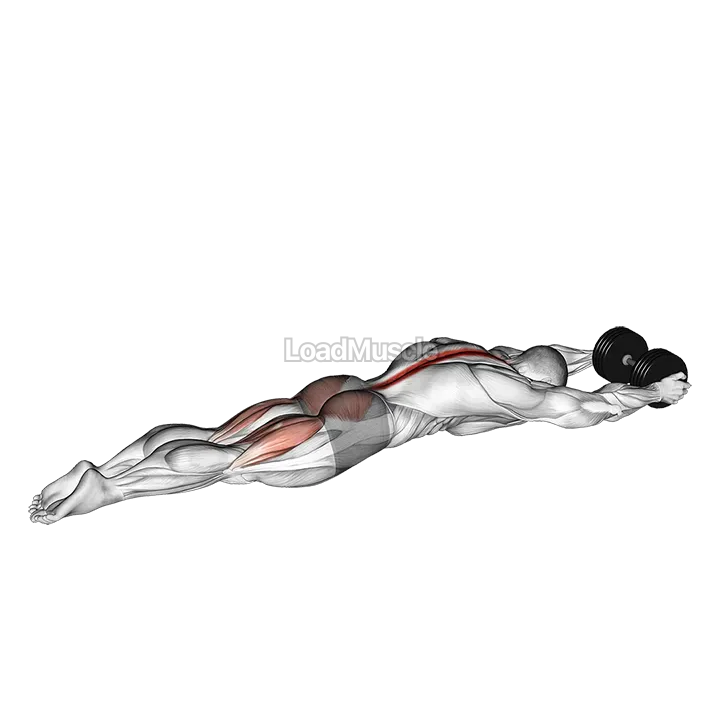 Dumbbell Superman demonstration