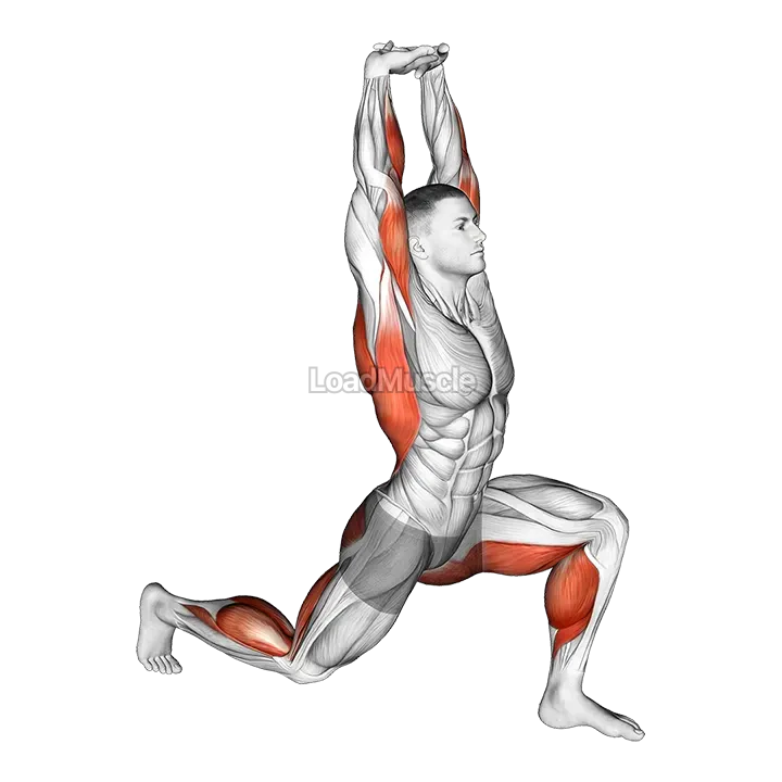 Warming-up in Lunge (one) demonstration