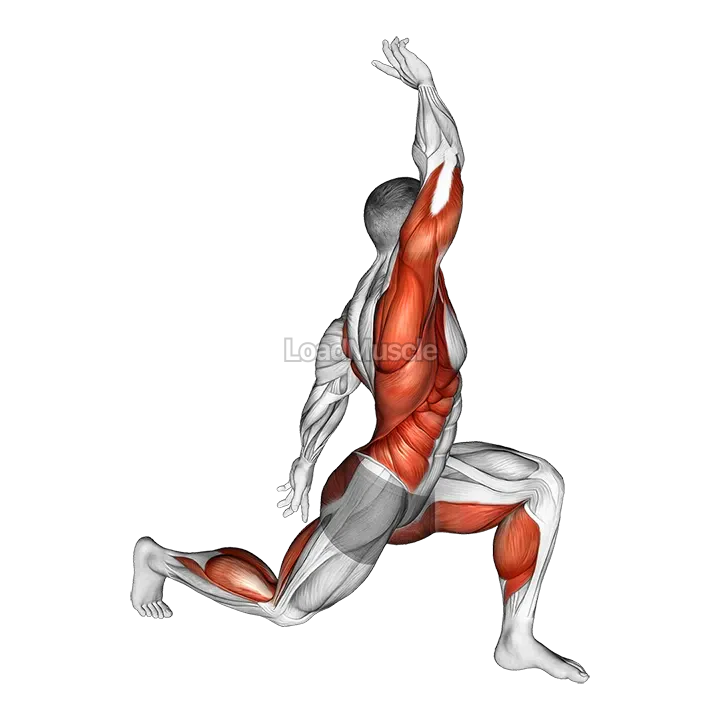 Warming-up in Lunge (two) demonstration