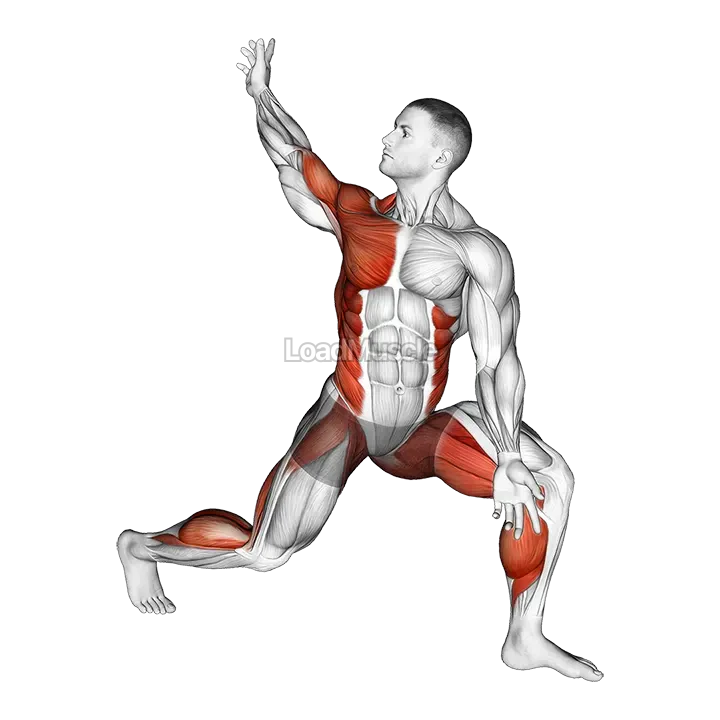 Warming-up in Lunge (three) demonstration