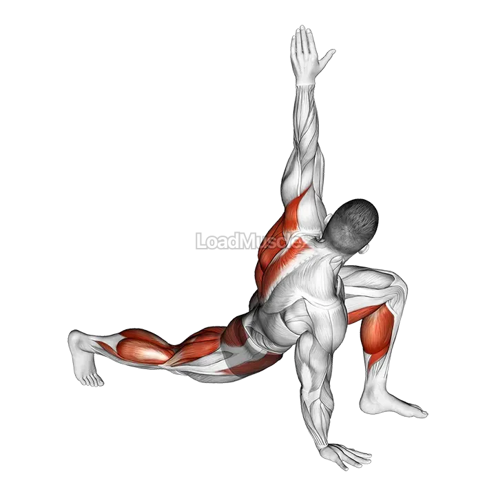 Warming-up in Lunge (five) demonstration