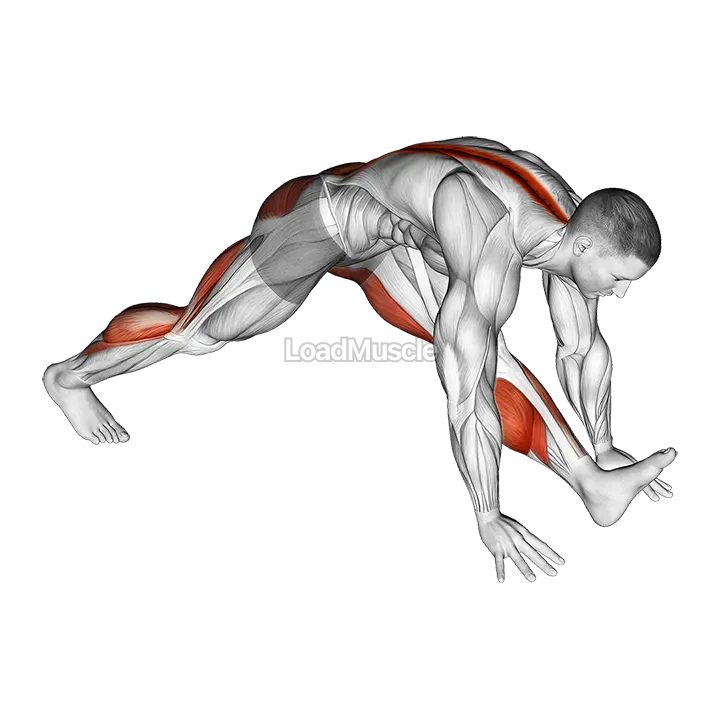 Front Hamstring Stretch demonstration