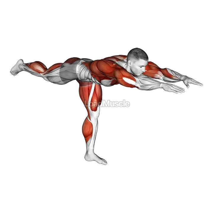 Warrior Pose demonstration