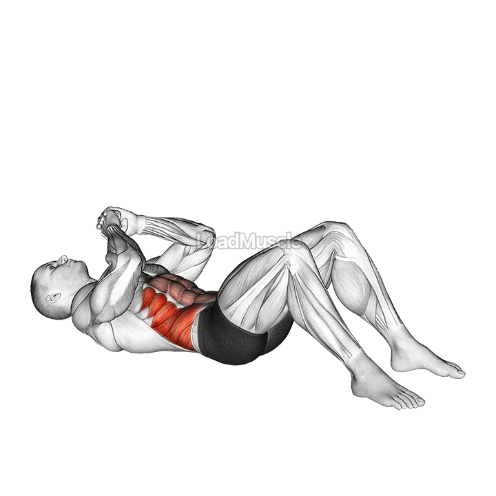 Elbow to Knee Sit up demonstration