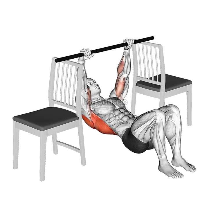 Inverted Row with Bent Knee between Chairs demonstration