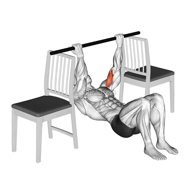 Inverted Chin Curl with Bent Knee between Chairs demonstration