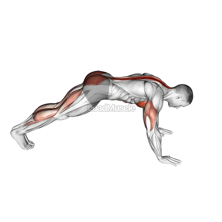 Cobra Push up demonstration