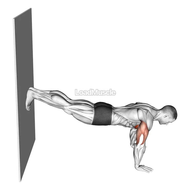 Decline Push Up against Wall demonstration