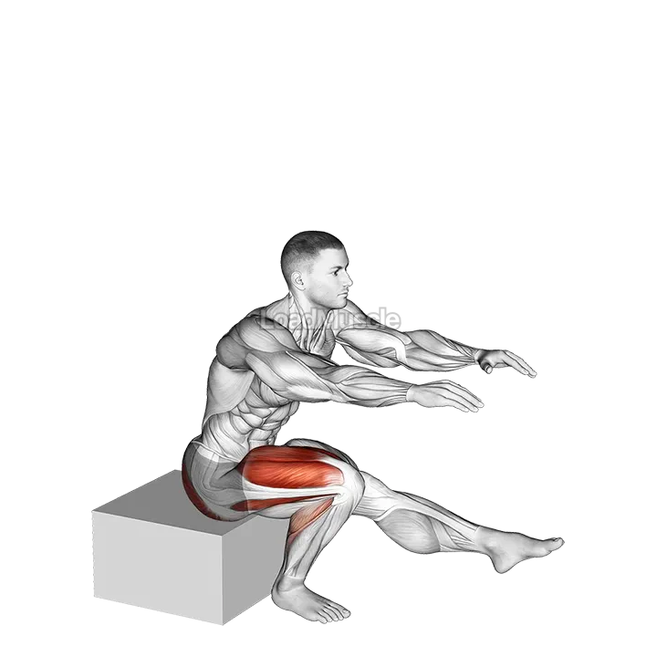 Single Leg Low Box Squat demonstration