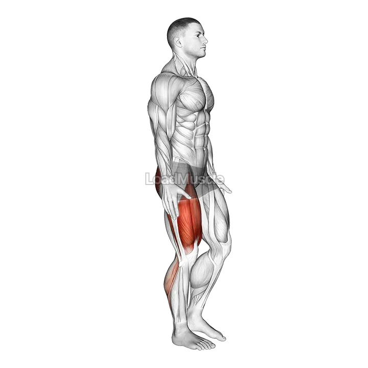 Single Leg Heel Touch Squat demonstration