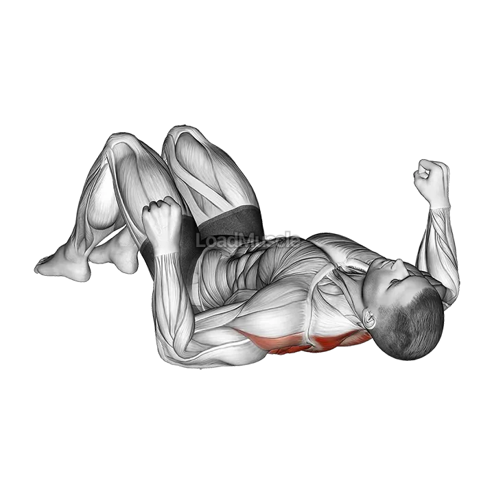 Lying Floor Row with Bent Knee demonstration