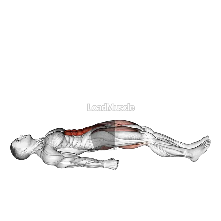 Lying Straight Leg Marches demonstration