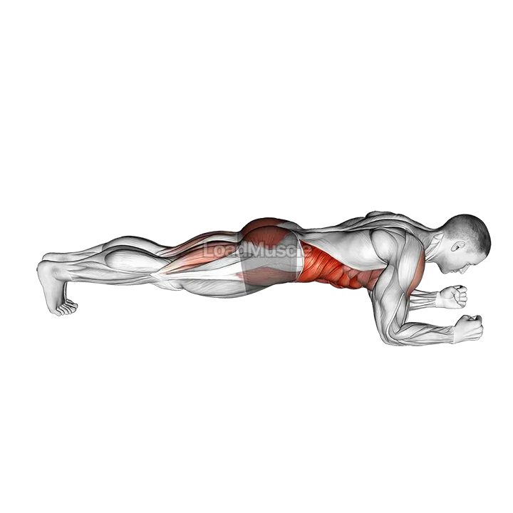 Front Plank with Leg Lift demonstration