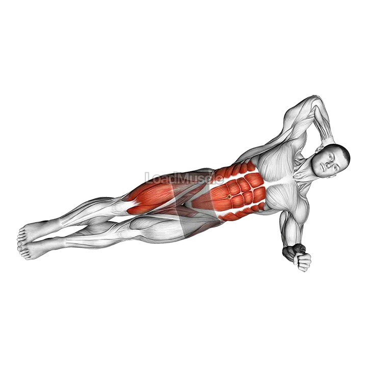 Elbow to Knee Side Plank Crunch demonstration