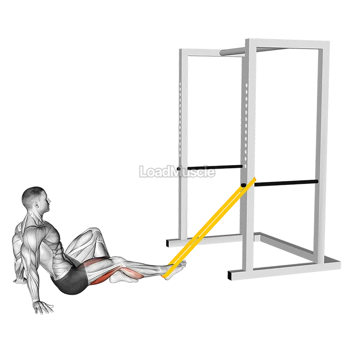 Resistance Band Seated Single Leg Curl demonstration