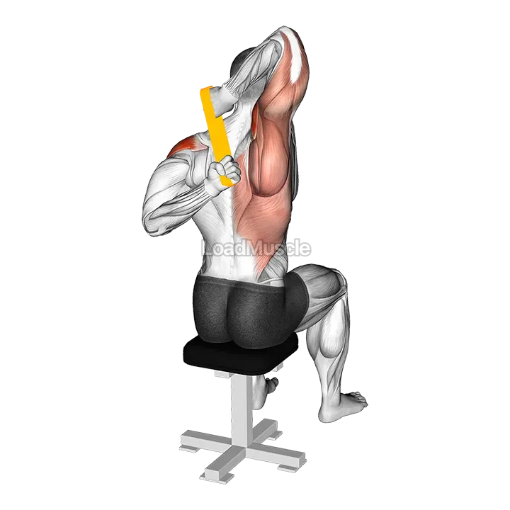 Resistance Band Shoulder Stretch Behind the Back demonstration